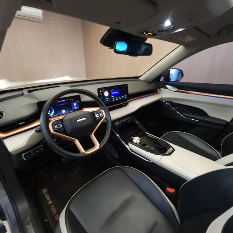 GWM HAVAL H6 1.5 PHEV19 E-TRACTION 2025 Híbrido - Picture 4