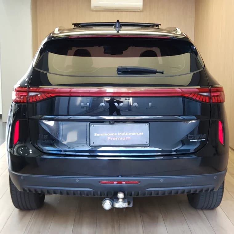 GWM HAVAL H6 1.5 PHEV PREMIUM AWD E-TRACTION 2025 Híbrido - Picture 4
